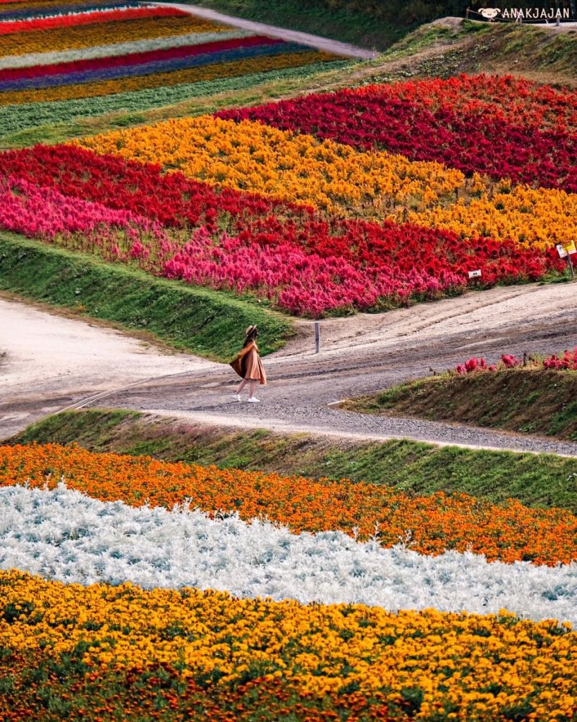 furano
